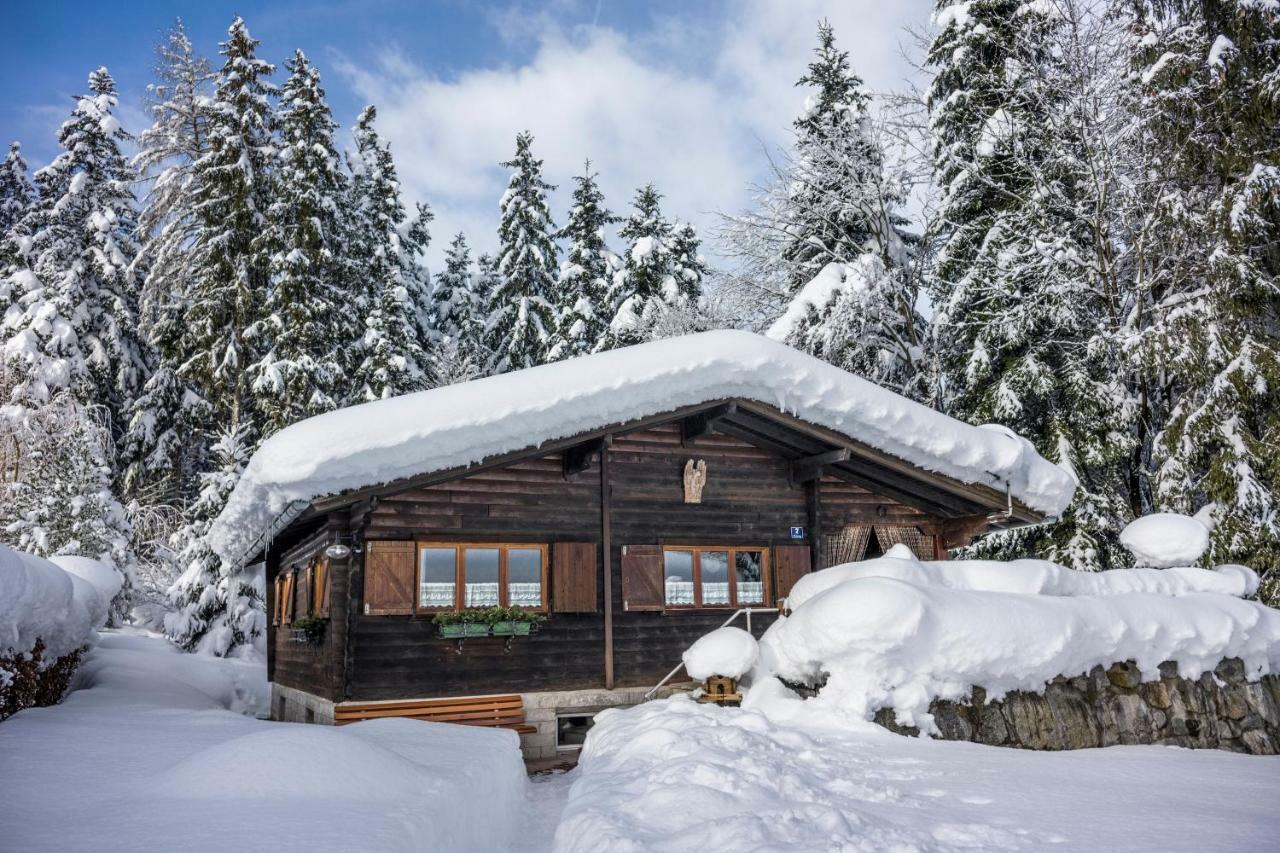 Apartamento Ferienhütte Puutz