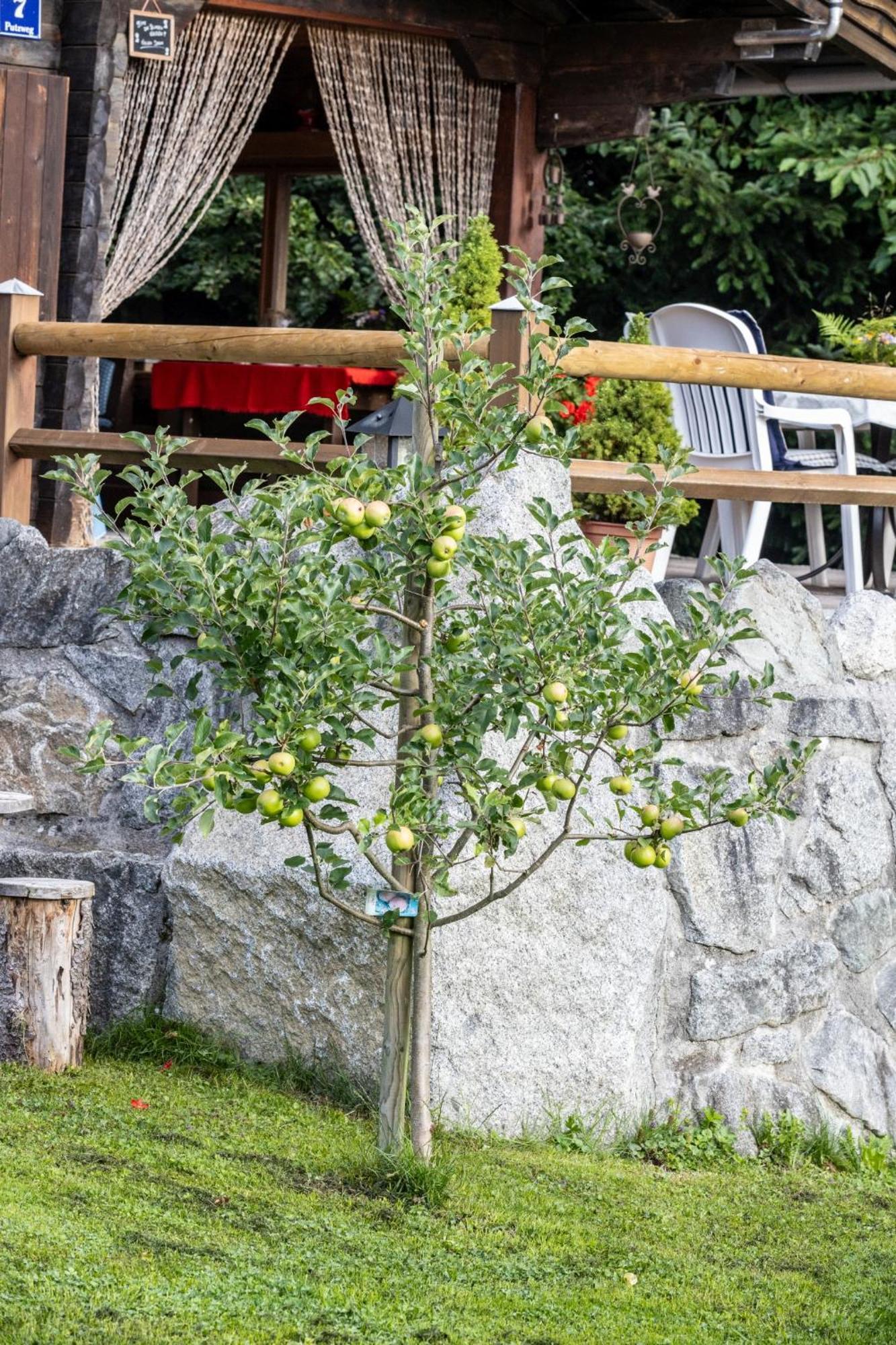 Ferienhütte Puutz Apartment Wörgl